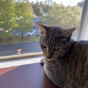 Meet your Posher, Michael